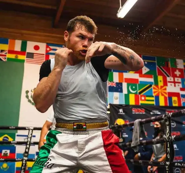 Canelo Alvarez Vermögen, Eltern, Alter, Ehefrau, Kinder, Größe