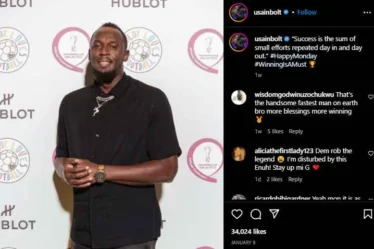 Usain Bolt Vermogen