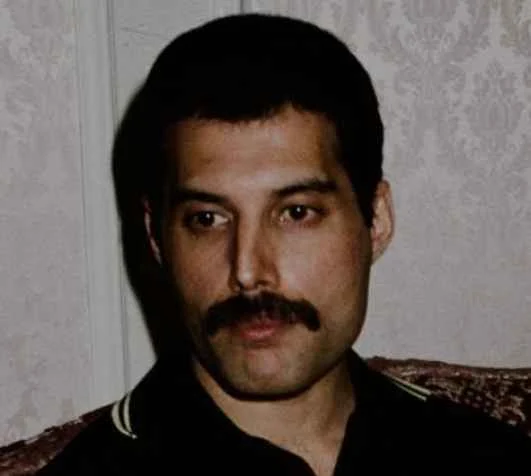 Freddie Mercury Taille Poids, Parents, Fortune, Origine & Âge…