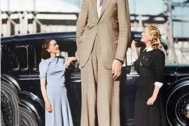 Robert Wadlow Zon
