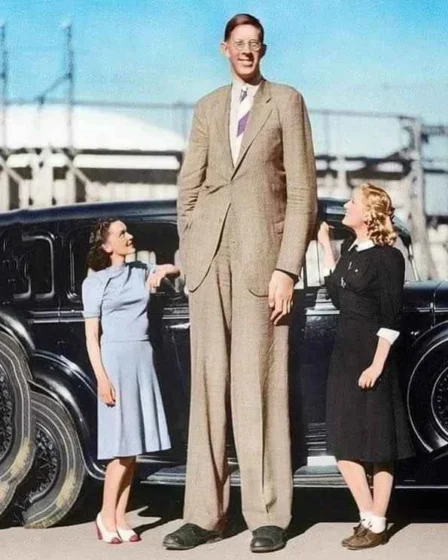 Robert Wadlow Zon
