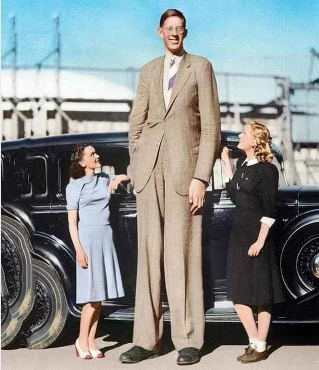 Robert Wadlow Todesursache, Tot, Gewicht, Eltern, Größe